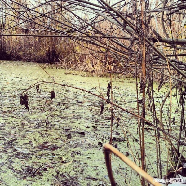 Луцький парк @jankistein